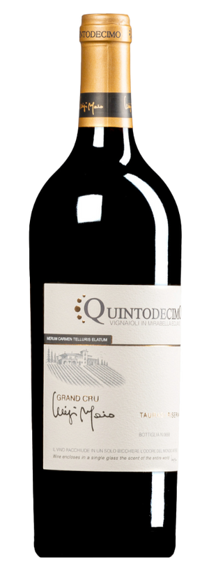 2019 Quintodecimo Taurasi Riserva Luigi Moio Grand Cru
