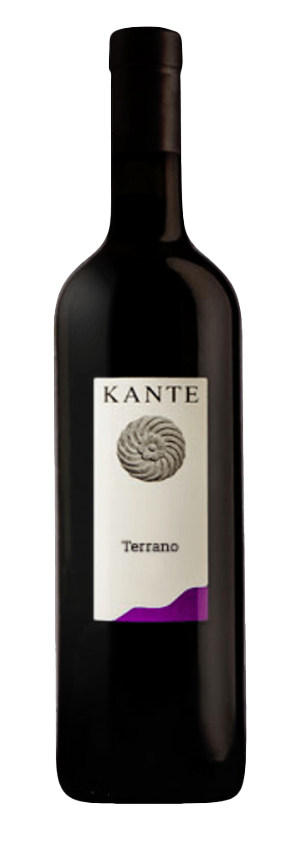 2021 Edi Kante Terrano