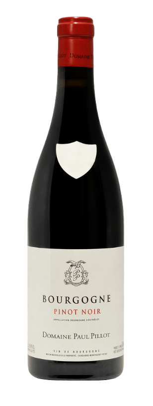 2021 Paul Pillot Bourgogne Rouge