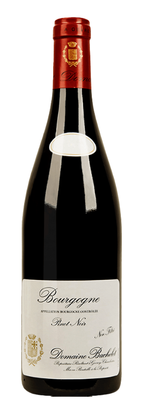 2022 Domaine Denis Bachelet Bourgogne Rouge Pinot Noir