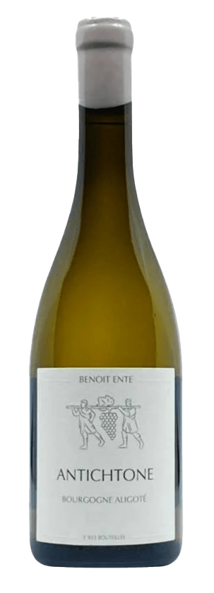 2023 Benoit Ente Bourgogne Aligote Antichtone