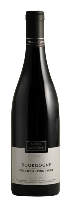 2023 Morey Coffinet Bourgogne Rouge Cote d'Or