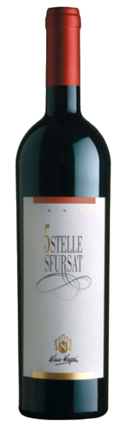 Nino Negri Sforzato di Valtellina Sfursat 5 Stelle DOCG