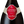 Gosset Champagne Brut Grande Reserve