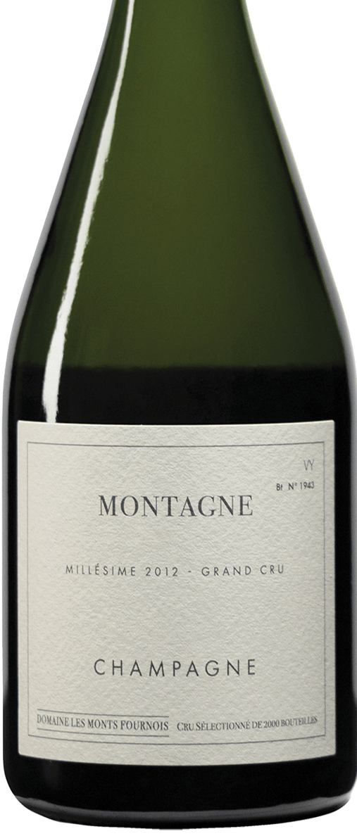 2012 Domaine Les Monts Fournois Champagne Montagne Verzy VY Grand Cru