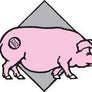EIEIO Pinot Noir Swine Wine