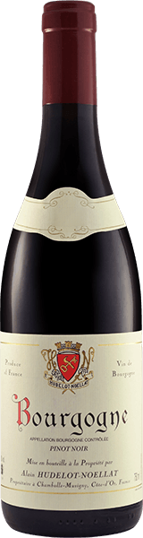 2022 Hudelot-Noellat Bourgogne Rouge