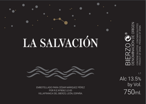 2020 Cesar Marquez Godello La Salvacion Bierzo